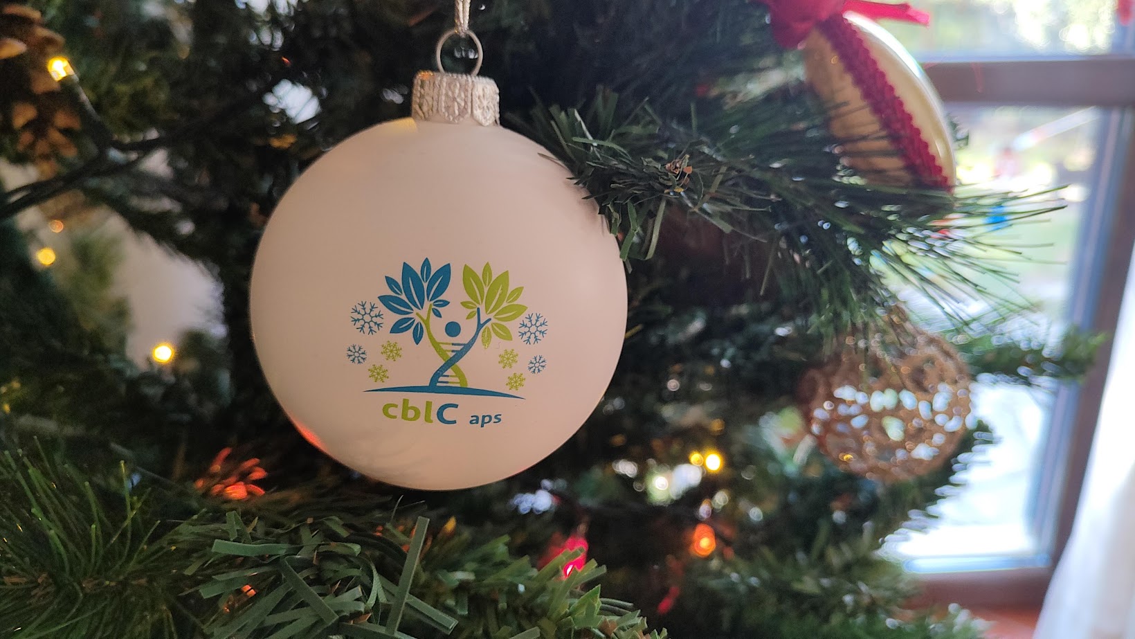 RACCOLTA FONDI NATALE 2023