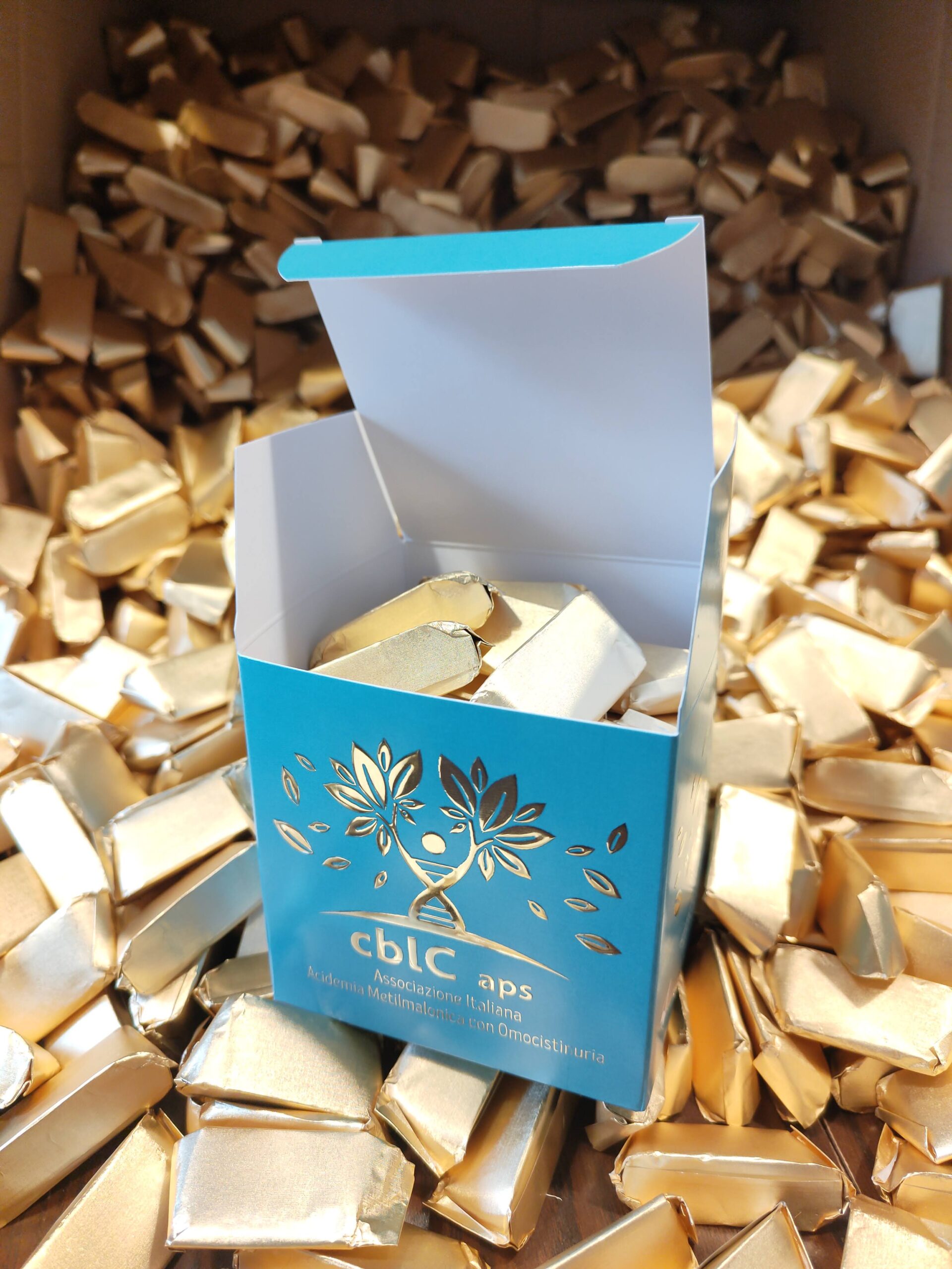 Raccolta fondi Natale 2025